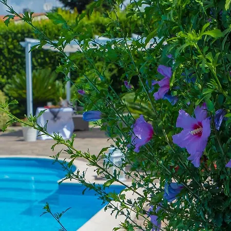 Meravilla Luxury