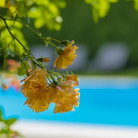 Meravilla Luxury Bed & Breakfast